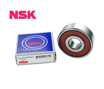 {DepartmanAdi} / RULMAN   17*52*17   B1799 TİP BOSCH TİP F00M990417  F00M990434 1120905531 83B218   SCANİA {Ozet}