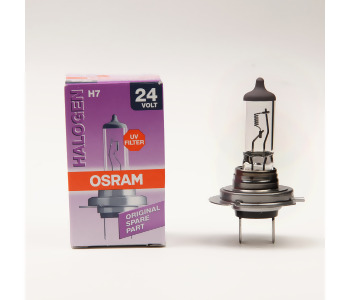 {Katagori} / 24V H7 AMPUL 70W                          OSRAM 
