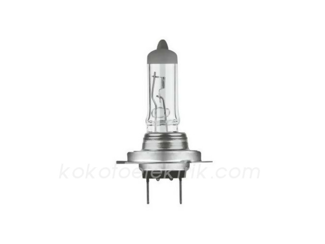 TRF-01617 24V H7        AMPUL 70W                 TRIFA 